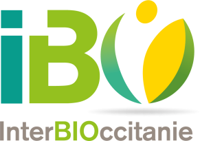 Logo ibo